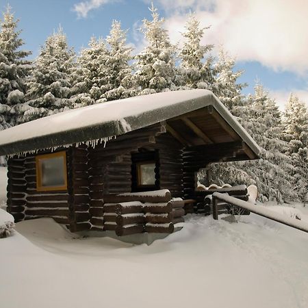 Modern & Vintage Bocksbergblick Ferienpark Hahnenklee Гослар Экстерьер фото